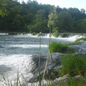 Mrežnica