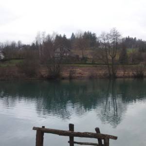 Mrežnica