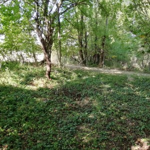 Poljoprivredno zemljište - Križ(Prodaja ili zamjena)