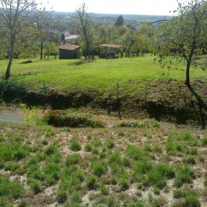 Građevinsko zemljište - Križ(Prodaja ili zamjena)