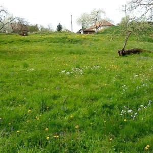 Građevinsko zemljište - Križ(Prodaja ili zamjena)