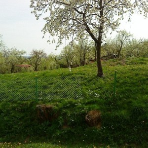 Građevinsko zemljište - Križ(Prodaja ili zamjena)