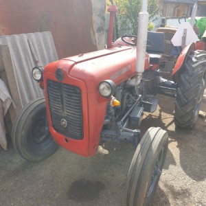 IMT 533