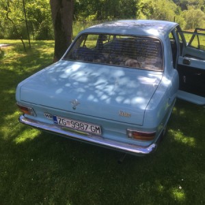 Kadett