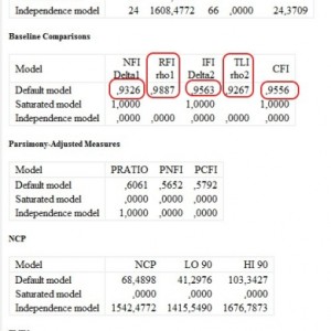 Rješavamo statističke probleme u SPSS-u i AMOS-u.