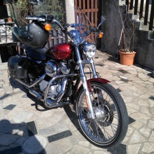 harley davidson sportster 883 custom