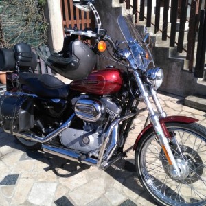 harley davidson sportster 883 custom