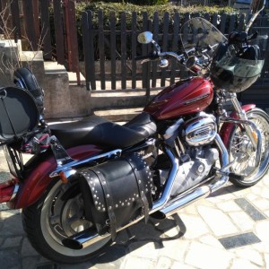 harley davidson sportster 883 custom