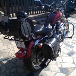 harley davidson sportster 883 custom