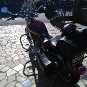 harley davidson sportster 883 custom