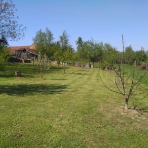 Prodajem kuću i kompletno imanje