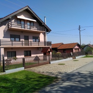 Prodajem kuću i kompletno imanje