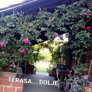 KUćA PRODAJA