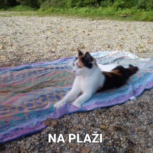 KUćA PRODAJA