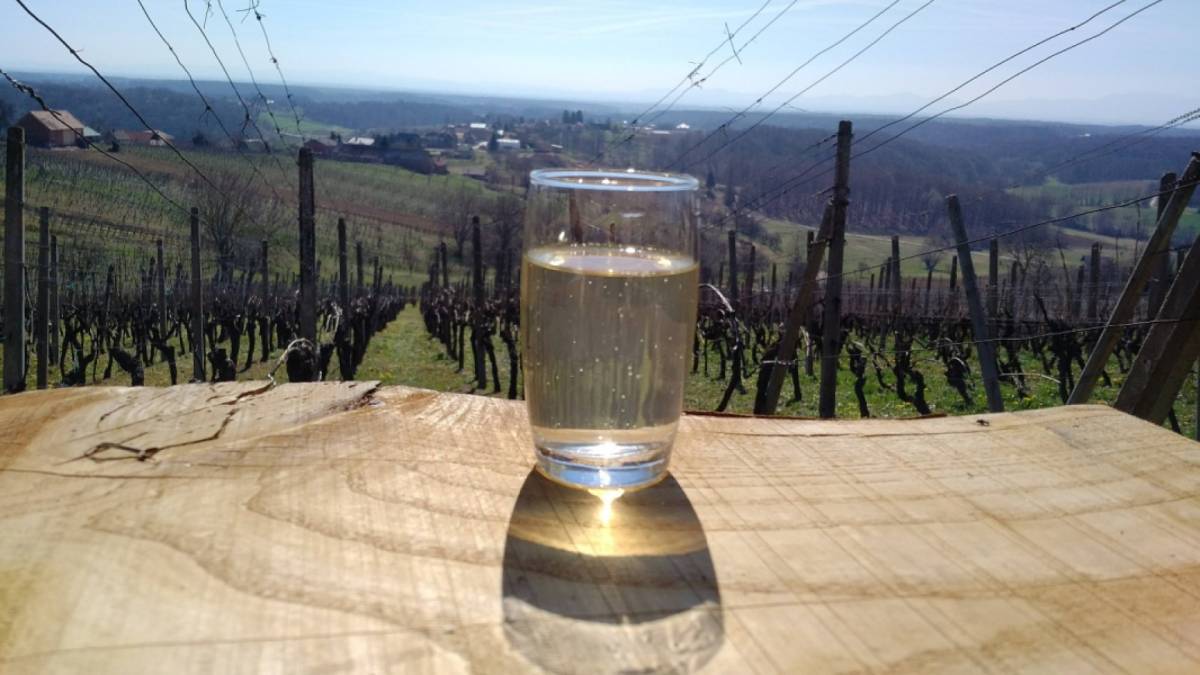 Prodajem domaće bijelo miješano vino