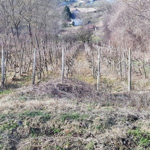 Vikendica