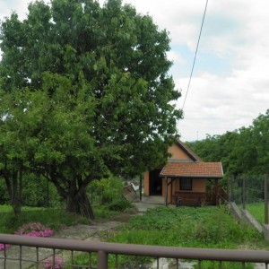 Vikendica