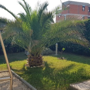 PRILIKA!!! Luksuzan apartman s velikom okućnicom i dva parkinga