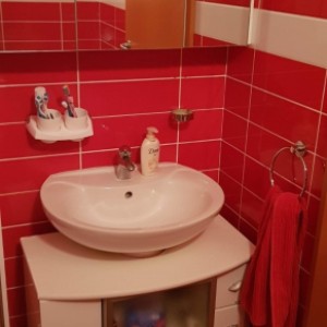 PRILIKA!!! Luksuzan apartman s velikom okućnicom i dva parkinga