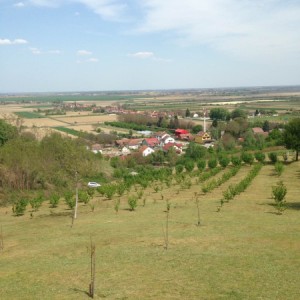 NASAD LJEŠNJAKA