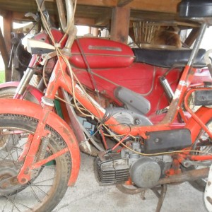 moped tomos t12 i pony exspres