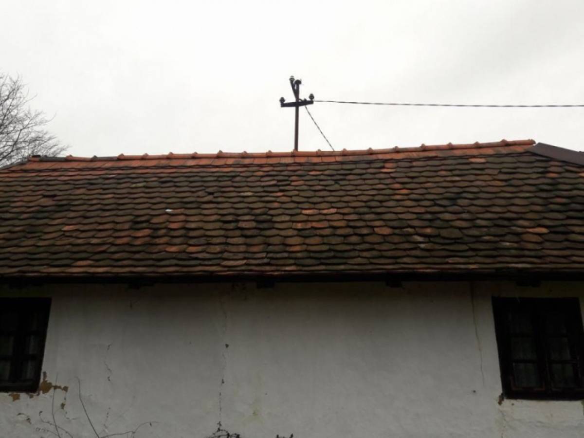Stari biber crijep