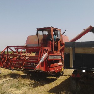 Kombajn Massey Ferguson 187