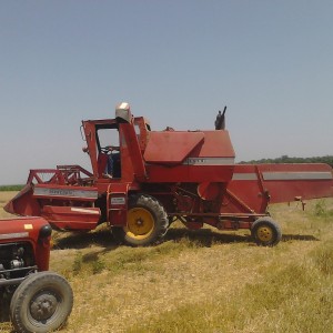 Kombajn Massey Ferguson 187