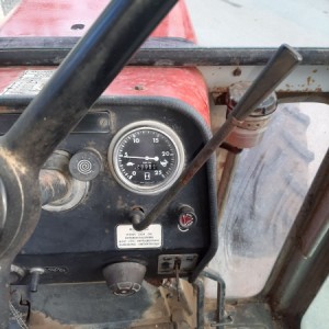 Massey ferbusona 590