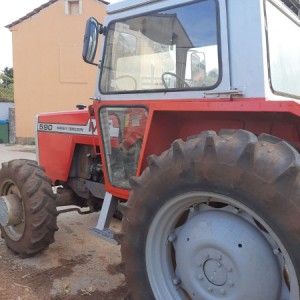 Massey ferbusona 590