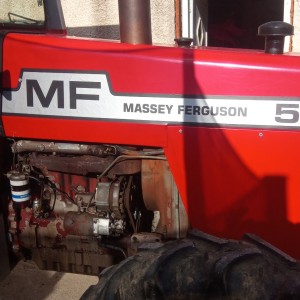 Massey ferbusona 590
