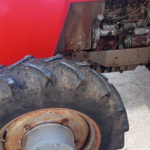 Massey ferbusona 590