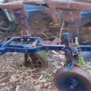 Massey ferbusona 590