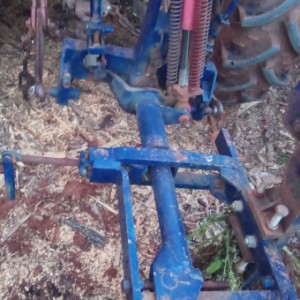 Massey ferbusona 590