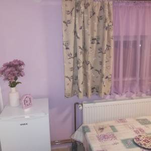 Studio apartman Lili