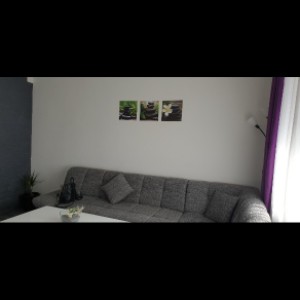 Stan Ogulin,55m&#xB2;