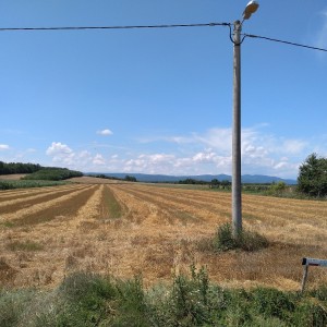 Zemljište Brezik Našički
