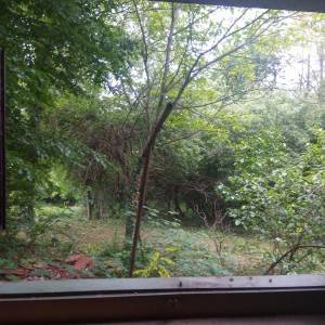 Prodaje se vikendica 30m2+1080m2 okućnice - Gudci