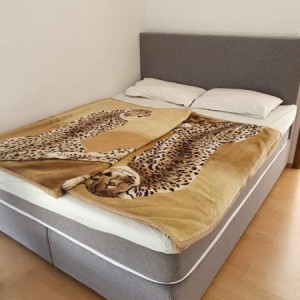 Apartman u Vodicama novonamješteni