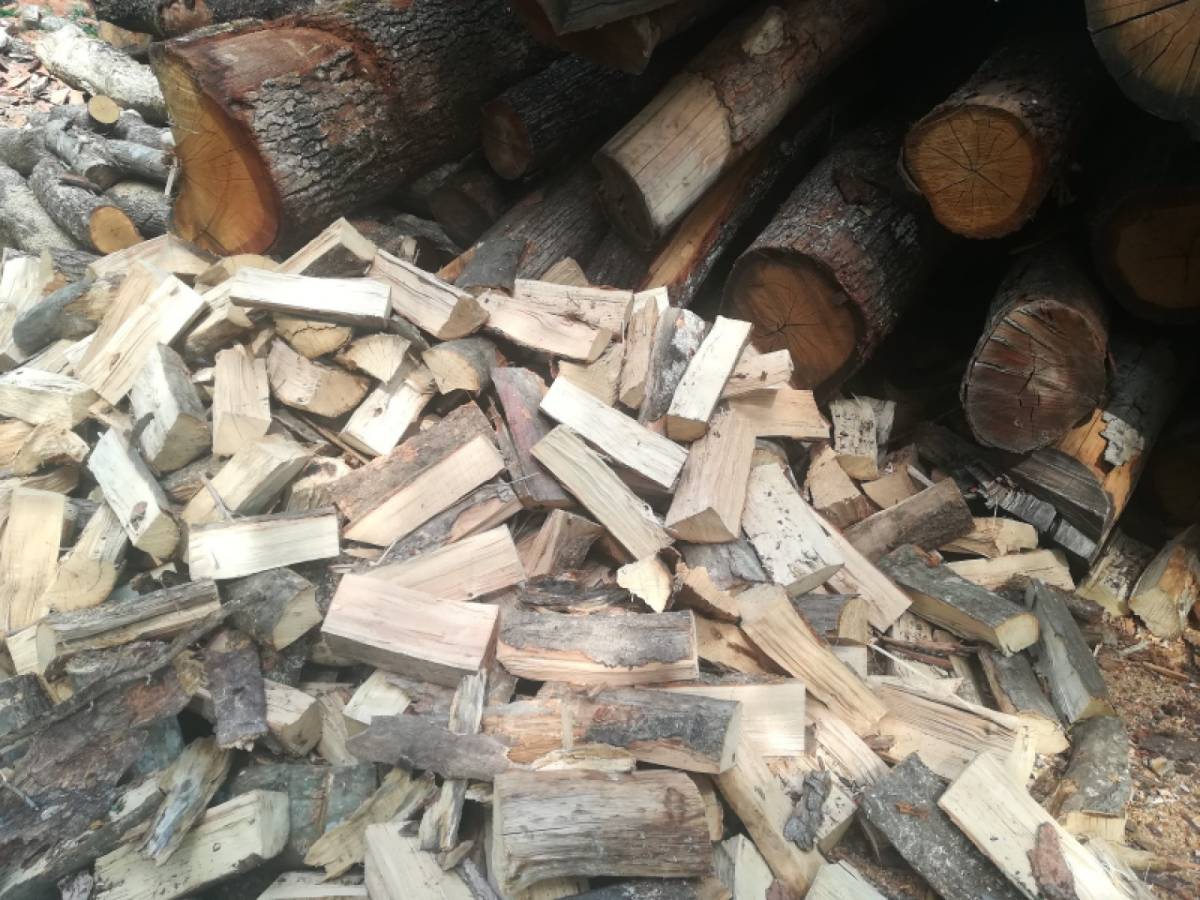 Prodaja drva za ogrijev