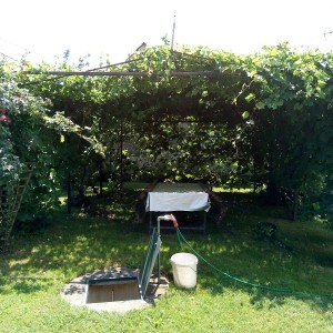 Seosko imanje kod Virovitice na 2500m2, prodajem jako povoljno