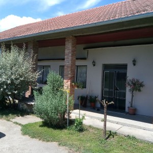 Seosko imanje kod Virovitice na 2500m2, prodajem jako povoljno