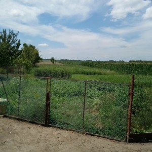 Seosko imanje kod Virovitice na 2500m2, prodajem jako povoljno