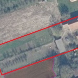 Seosko imanje kod Virovitice na 2500m2, prodajem jako povoljno