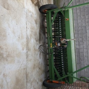 Sijačica