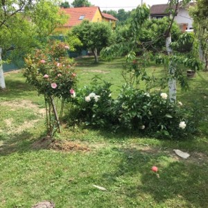 Kuća Sisak Naselje