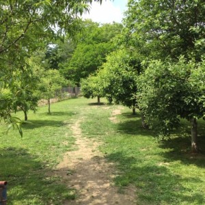 Kuća Sisak Naselje