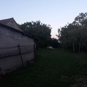 Kuća s okućnicom, Novo Virje Medvedička