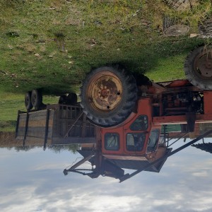 Belarus T40