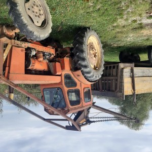 Belarus T40